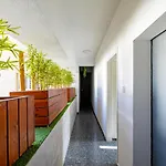 Center Daire