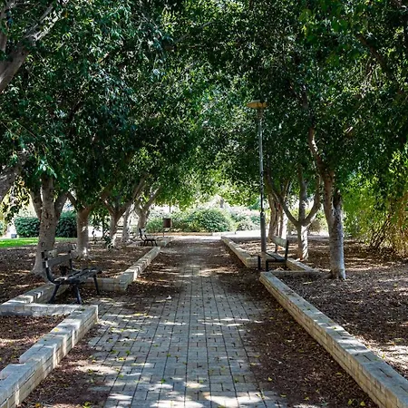 Center * Никосия