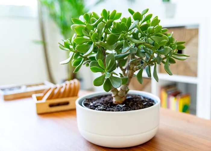 Center アパート *