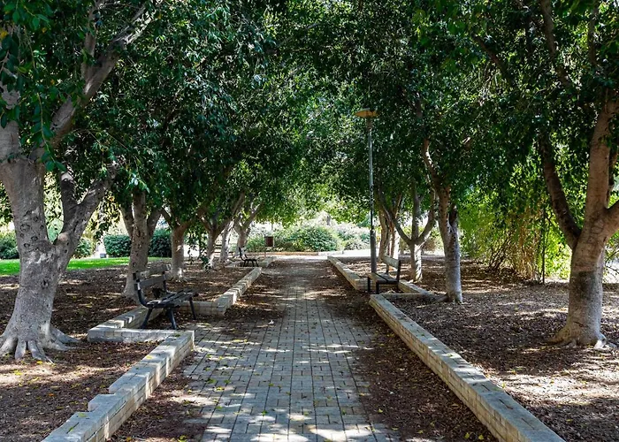 Center * ニコシア